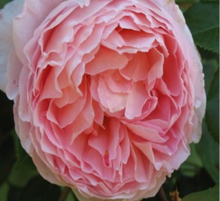 ������� 1398934242.jpg