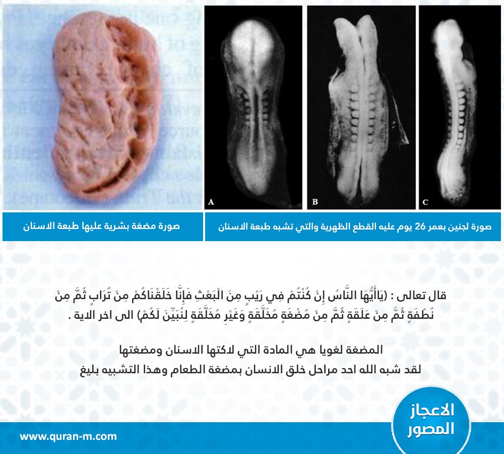 فَإِنَّا خَلَقْنَاكُم مِّن تُرَابٍ ثُمَّ مِن نُّطْفَةٍ