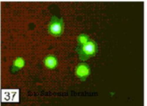 ������� ������� �������� �����